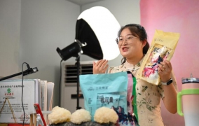 中国经济样本观察·县域样本篇丨...